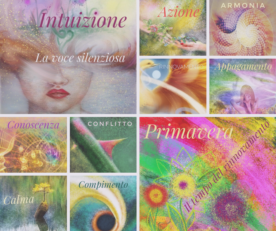 Sessione Carte S.E.I.